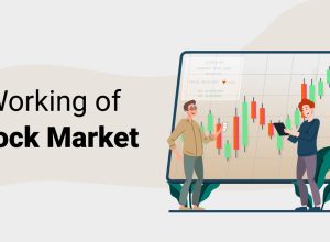 Working of Stock Market In India